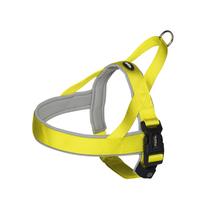 NOBBY 80531-65 NORVÉG HÁM 25×50 SÁRGA
